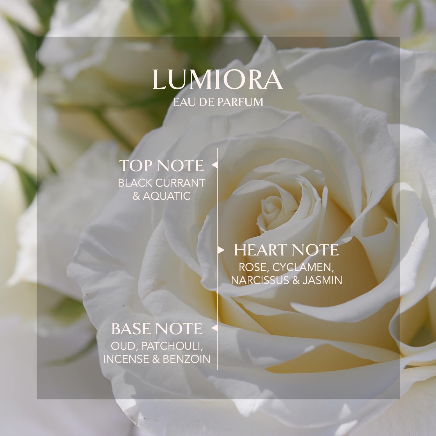 Lumiora | Eau De Parfum | Floral • Oud • Oriental | Fargrance for Women | 3.4 Fl. Oz./100 Ml